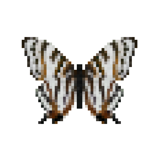 butterfly-dead-africanmapwing