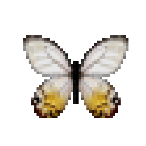 butterfly-dead-amberphantom