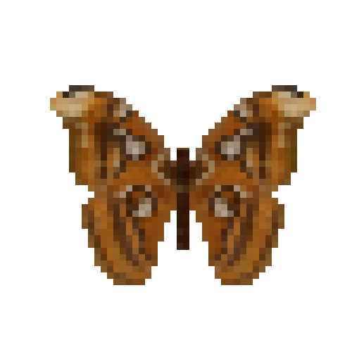 butterfly-dead-atlasmothfemale