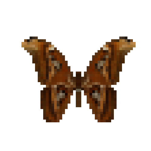 butterfly-dead-atlasmothmale