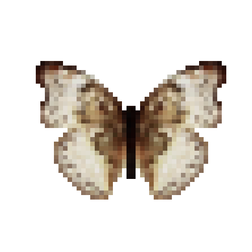 butterfly-dead-bloodredgliderpalefemale