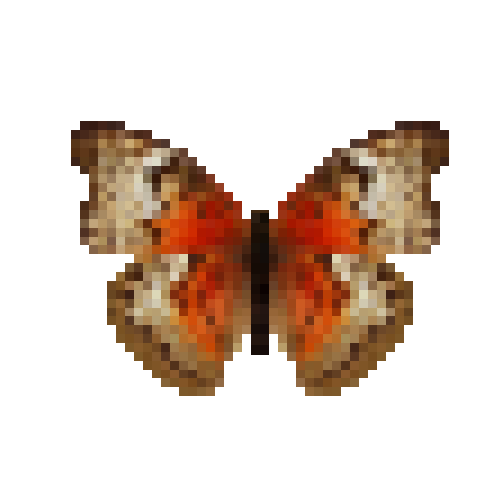 butterfly-dead-bloodredgliderredfemale