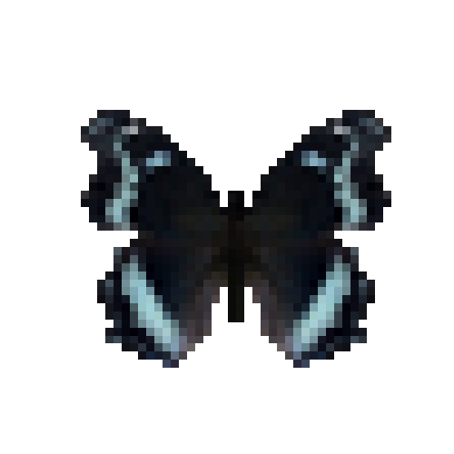 butterfly-dead-blueadmiral