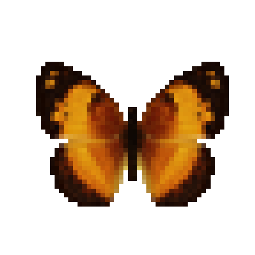butterfly-dead-borderedrusticfemale