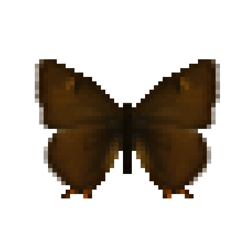 butterfly-dead-brownhairstreakmale