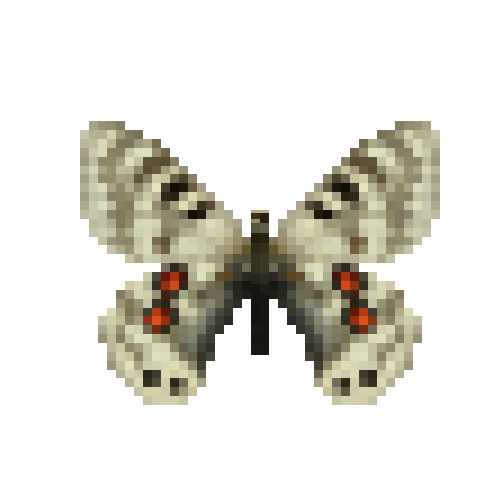 butterfly-dead-cardinalapollomale