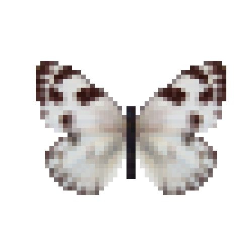butterfly-dead-checkeredwhitefemale