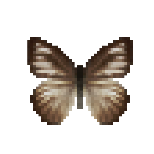 butterfly-dead-chocolatealbatrosswetseasonfemale