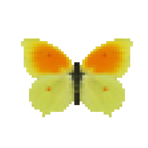 butterfly-dead-cleopatramale