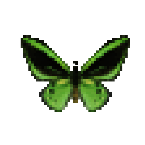 butterfly-dead-commongreenbirdwingmale