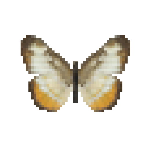 butterfly-dead-commonmestra