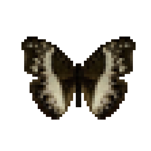 butterfly-dead-commonwhitegliderfemale