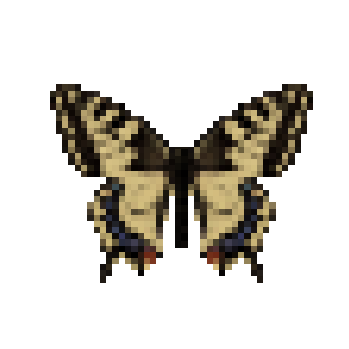 butterfly-dead-commonyellowswallowtailfemale
