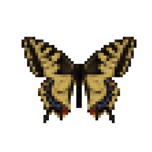 butterfly-dead-commonyellowswallowtailmale