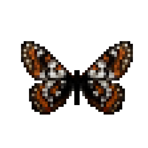 butterfly-dead-cynthiasfritillarymale