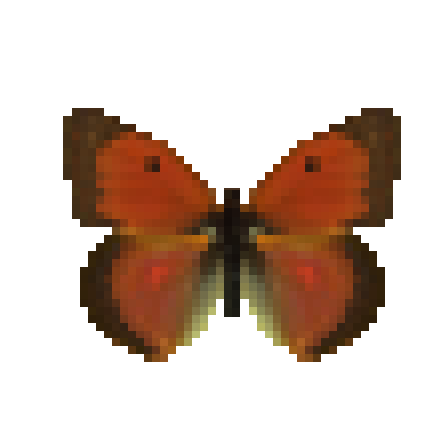 butterfly-dead-dawncloudedbutterflymale