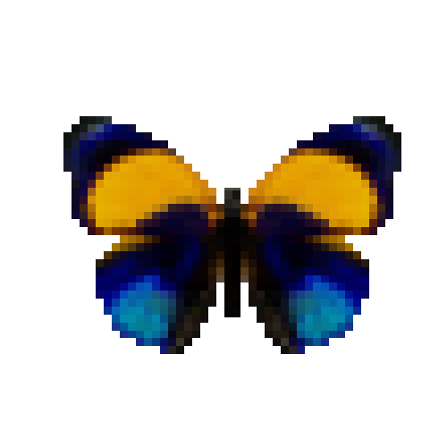 butterfly-dead-dottedglory