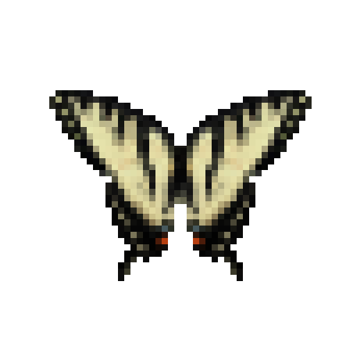 butterfly-dead-easterntigerswallowtailmale