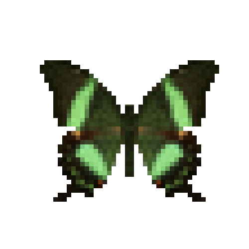 butterfly-dead-emeraldswallowtail