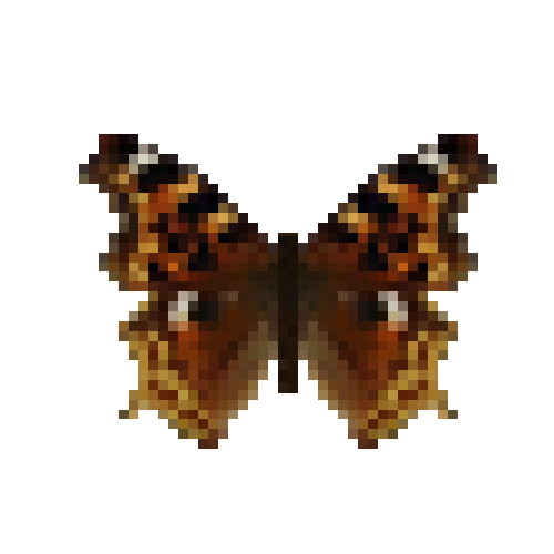 butterfly-dead-falsecomma