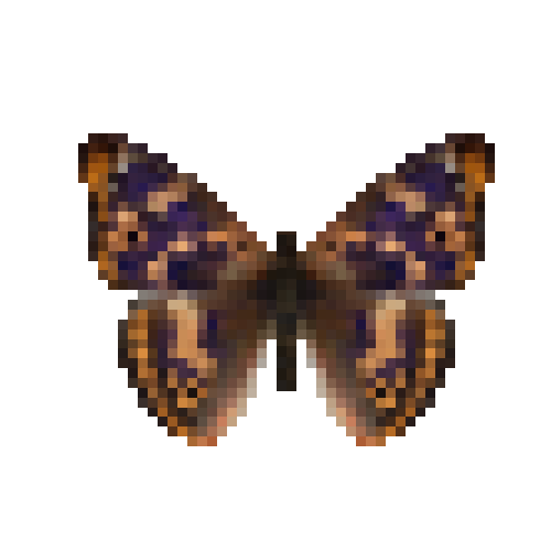 butterfly-dead-freyerspurpleemperormale