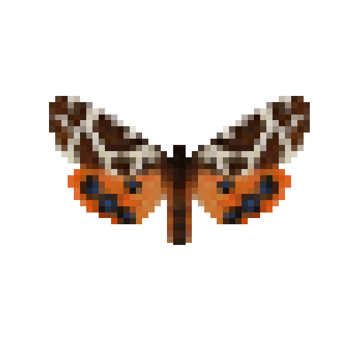 butterfly-dead-gardentigermothmale