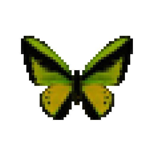 butterfly-dead-goliathbirdwingmale