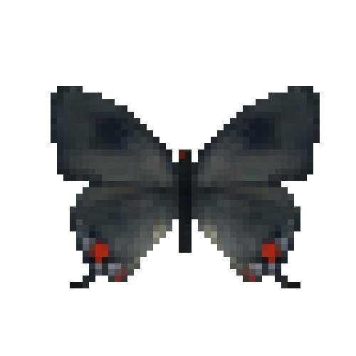 butterfly-dead-grayhairstreak