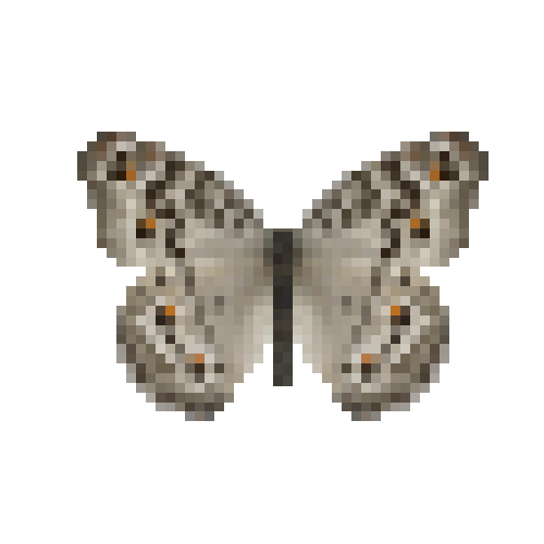 butterfly-dead-graypansy