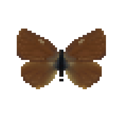 butterfly-dead-greenhairstreakmale