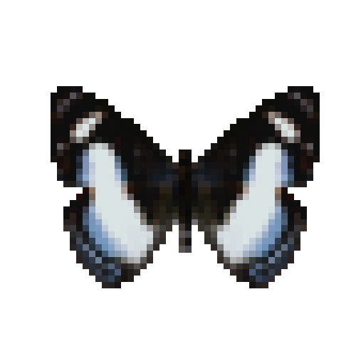 butterfly-dead-ireniametalmark
