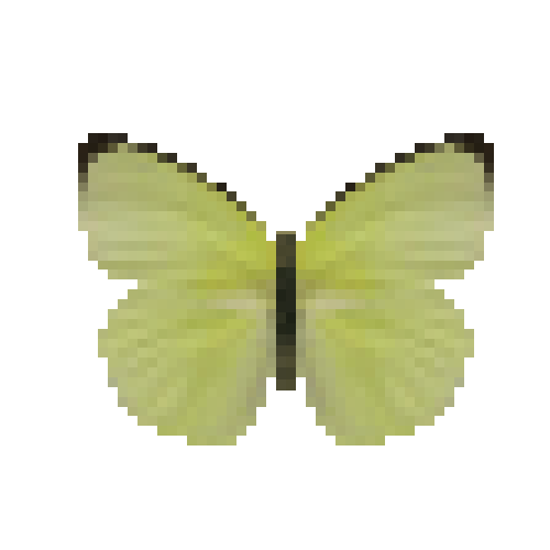 butterfly-dead-lemonemigrantalcmeoneformmale