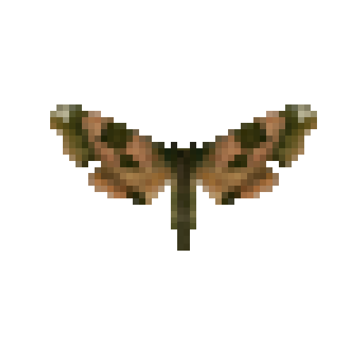 butterfly-dead-limehawkmoth