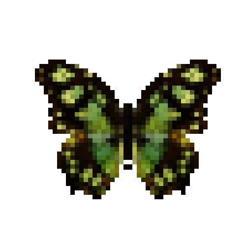 butterfly-dead-malachitebutterfly