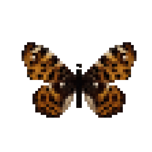 butterfly-dead-mapbutterflymalespringform