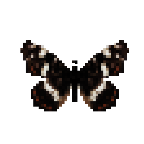 butterfly-dead-mapbutterflymalesummerform