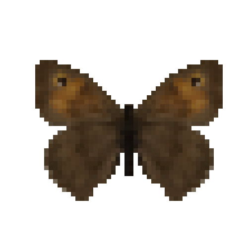 butterfly-dead-meadowbrownfemale