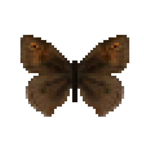 butterfly-dead-meadowbrownmale