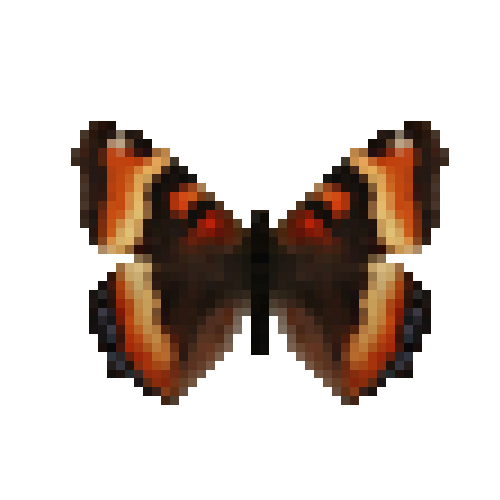 butterfly-dead-milbertstortoiseshellfemale