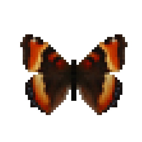 butterfly-dead-milbertstortoiseshellmale