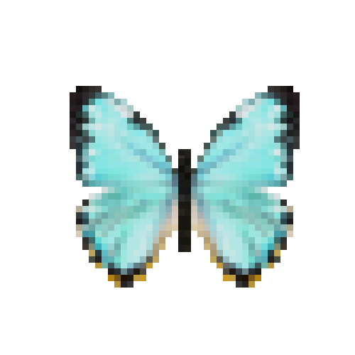 butterfly-dead-morphoportis