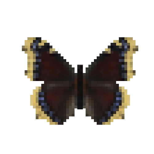 butterfly-dead-mourningcloak