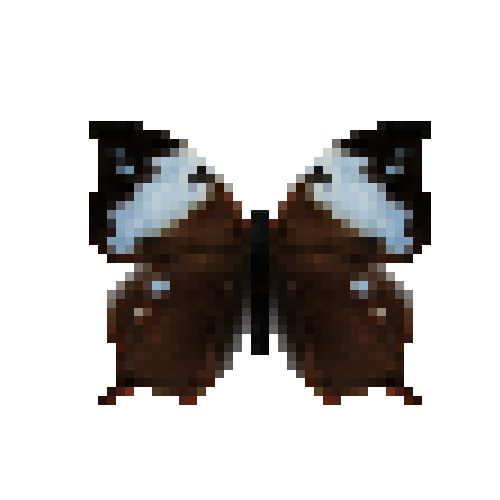 butterfly-dead-nessusleafwingfemale