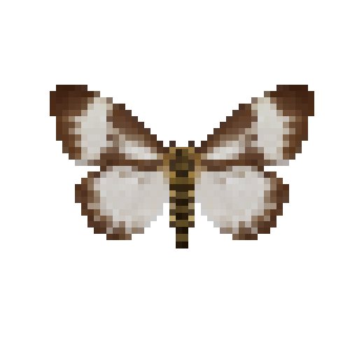 butterfly-dead-nyctemerakinabaluensis