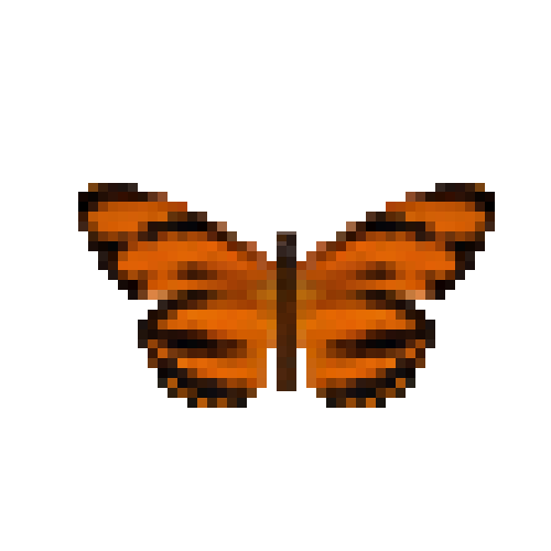 butterfly-dead-orangetiger
