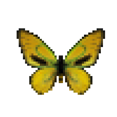 butterfly-dead-ornithopterapriamuseuphorionabgoldenmale