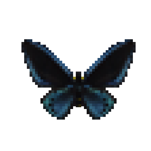 butterfly-dead-ornithopterapriamusmiokensismale