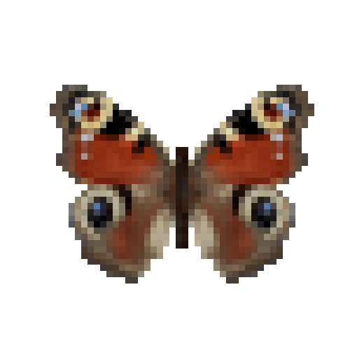butterfly-dead-peacock