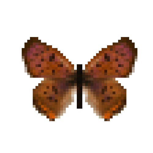 butterfly-dead-purplishcoppermale