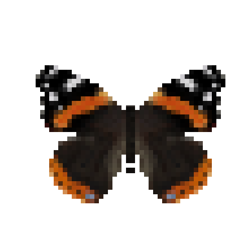 butterfly-dead-redadmiral